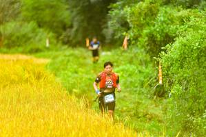 BIB: 
                            <button type="button" onclick="openModal(13456332)" class="btn btn-primary btn-sm float-right btn-popup" data-toggle="modal" data-target=".modal-high-quality">
                        <i class="fas fa-shopping-cart"></i> Add to Cart
                    </button>
                                            <button type="button" onclick="isThisMe(13456332, true)" class="btn btn-success btn-sm float-right btn-popup btn-isme hidden" data-toggle="tooltip" data-placement="bottom" title="นี่คือรูปของคุณใช่ไหม คลิกที่นี่เพื่อเอาเข้าอัลบั้ม">
                        <i class="fas fa-plus"></i> Add to album
                    </button>
                    <button type="button" onclick="isThisMe(13456332, false)" class="btn btn-warning btn-sm float-right btn-popup btn-isnotme hidden">
                        <i class="fas fa-ban"></i> Remove from album
                    </button>